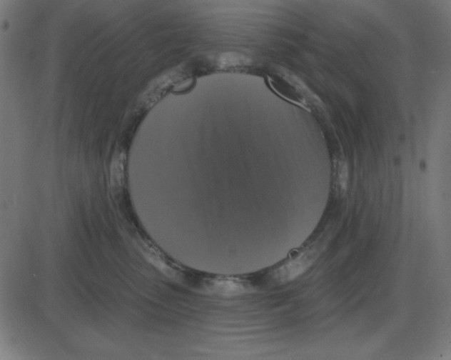 X0000087410475200705181402