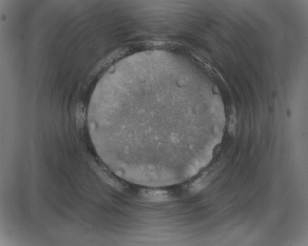 X0000087410476200705181402