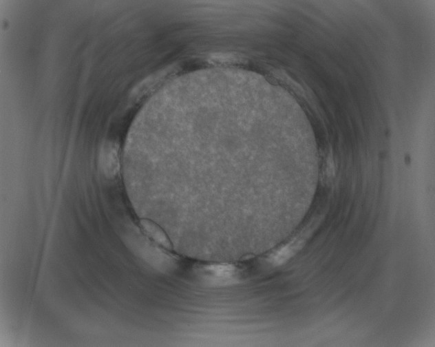 X0000087410478200705181402