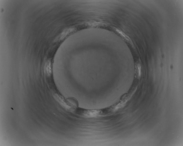 X0000087410479200705181402