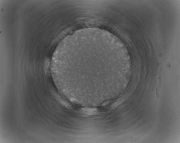 X0000087410480200705181402