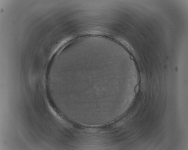 X0000087410482200705181401