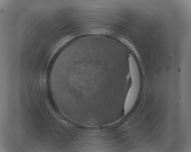 X0000087410483200705181401