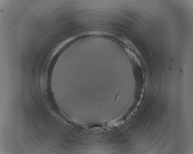 X0000087410484200705181401