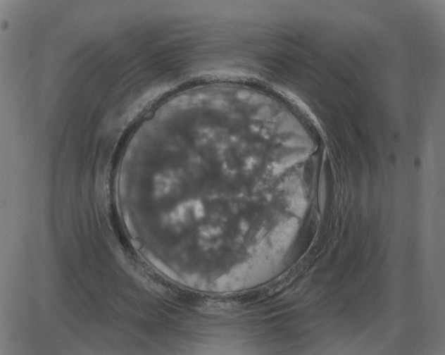 X0000087410487200705181401