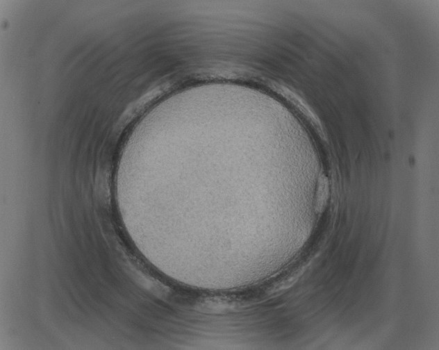 X0000087410489200705181401