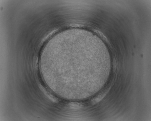 X0000087410490200705181401