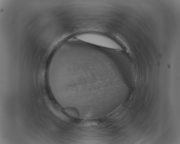 X0000087410491200705181401