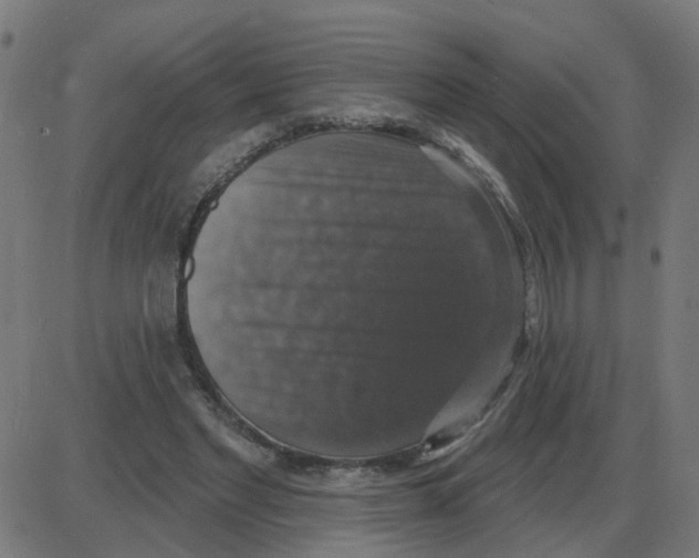 X0000087410493200705181401