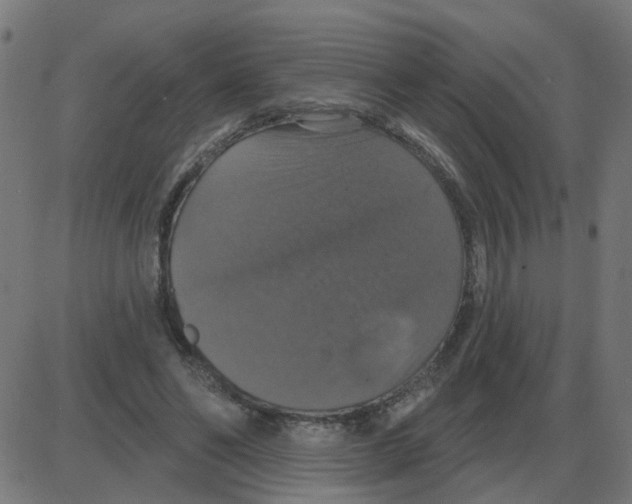 X0000087410494200705181401