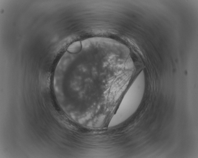 X0000087410495200705181401