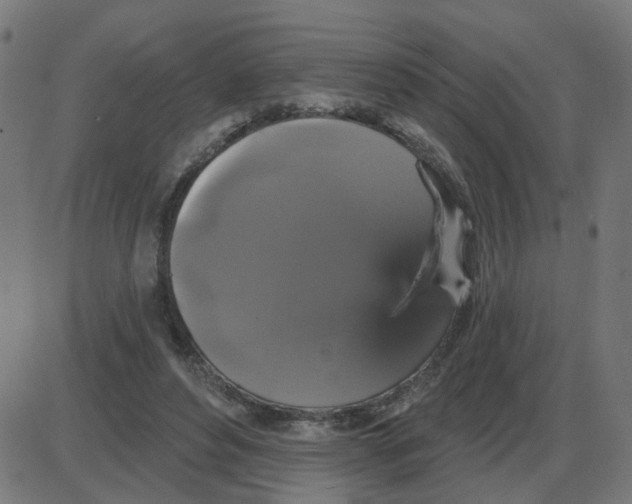 X0000087410496200705181401