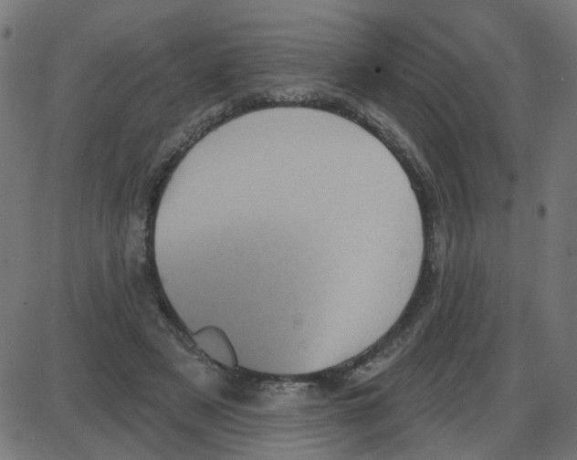 X0000087410497200705181401