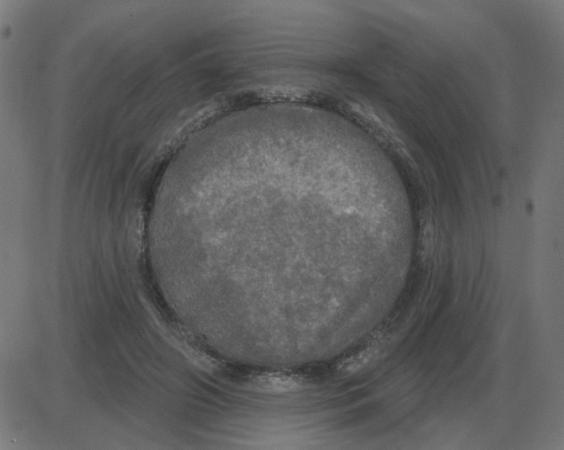 X0000087410498200705181401