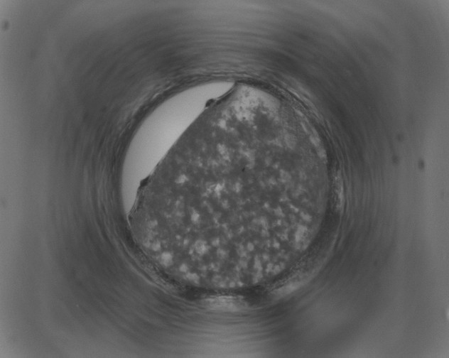 X0000087410499200705181401