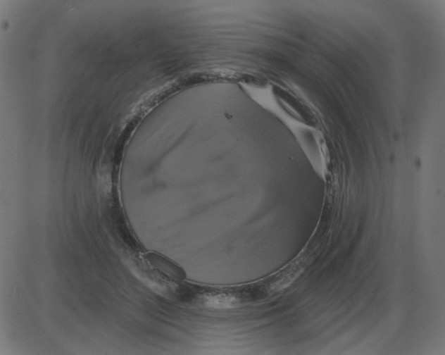 X0000087410500200705181401