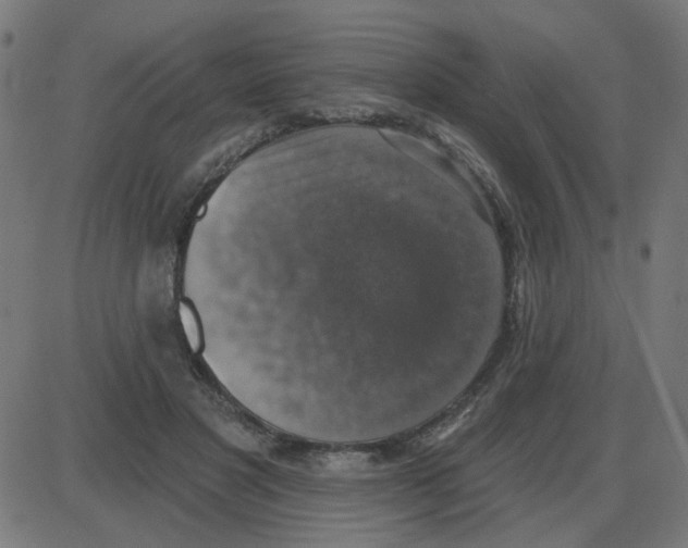 X0000087410501200705181401