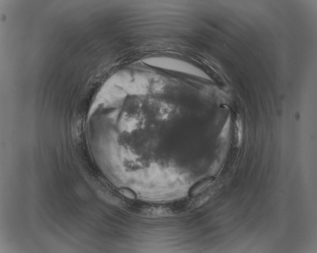 X0000087410503200705181401