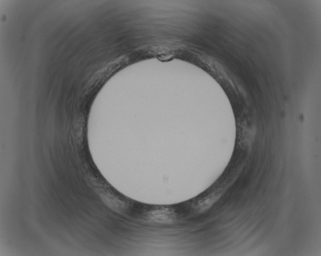 X0000087410505200705181401