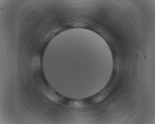 X0000087410506200705181401