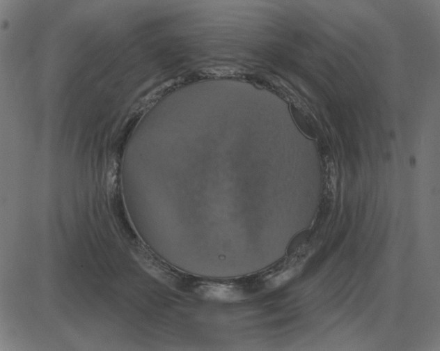 X0000087410507200705181401