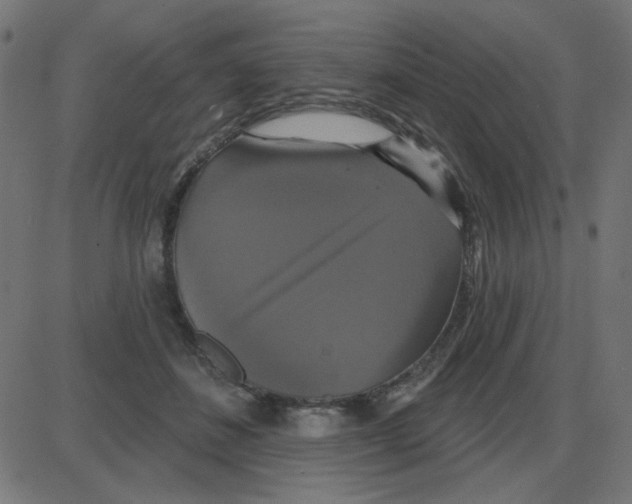 X0000087410508200705181401