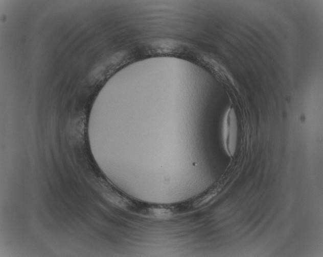 X0000087410509200705181401