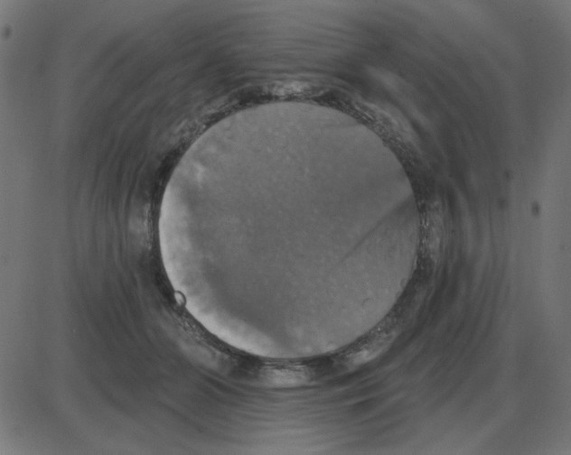 X0000087410510200705181401