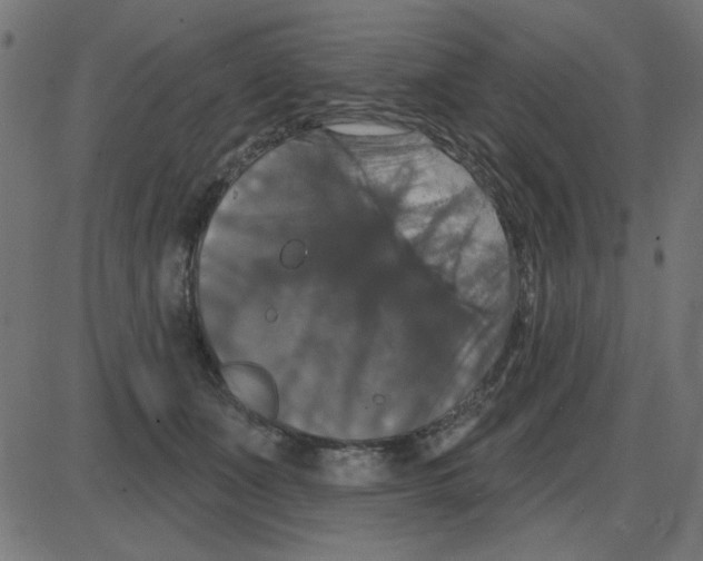 X0000087410511200705181401