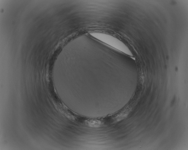 X0000087410512200705181401