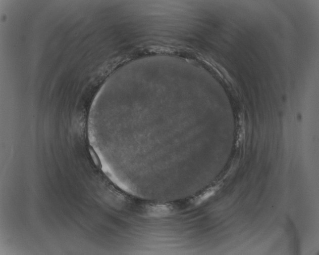 X0000087410513200705181401