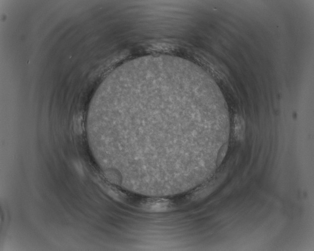 X0000087410514200705181401