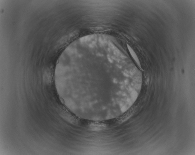 X0000087410515200705181401