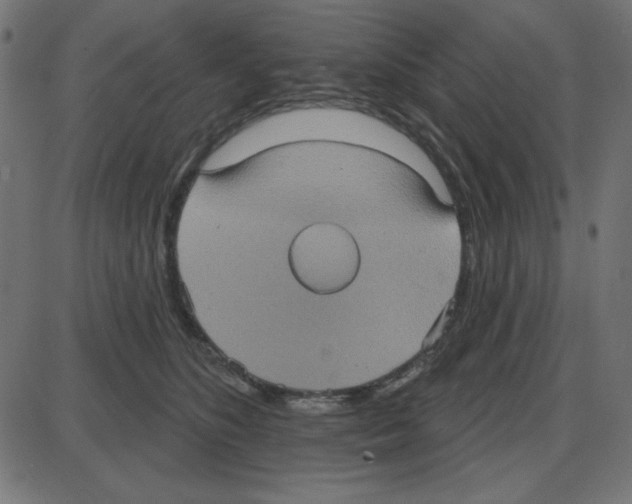 X0000087410516200705181401