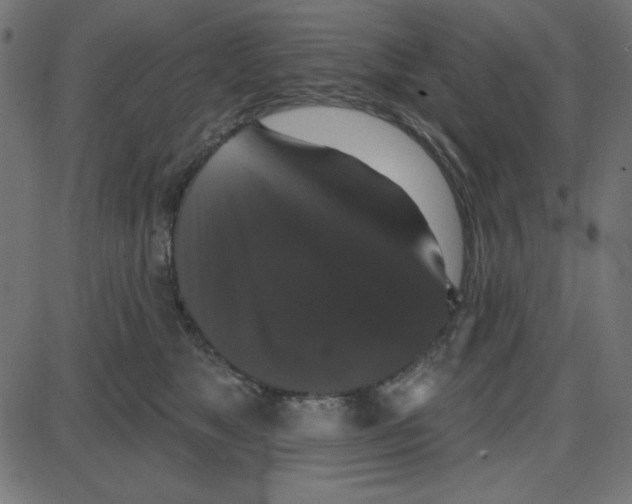 X0000087410517200705181401