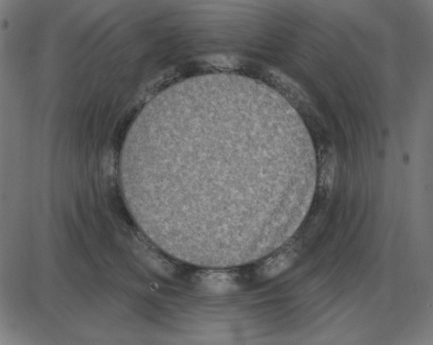 X0000087410518200705181401