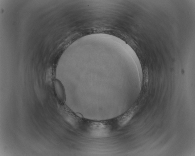 X0000087410519200705181401