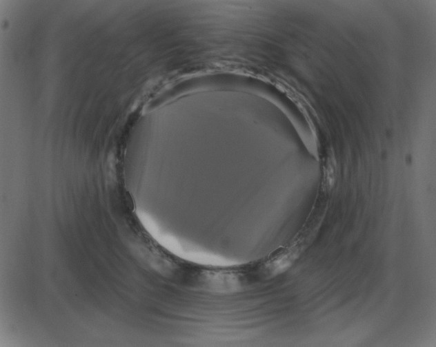 X0000087410520200705181401