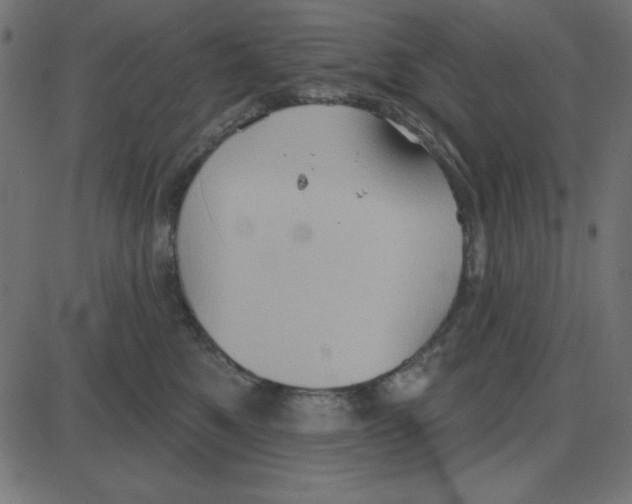 X0000087410521200705181401