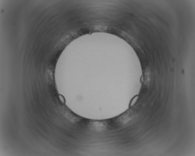 X0000087410522200705181401