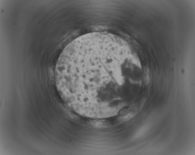 X0000087410523200705181401