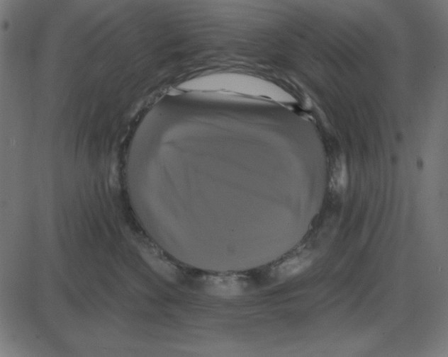 X0000087410524200705181401