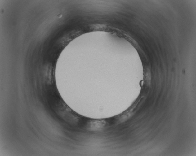 X0000087410525200705181400