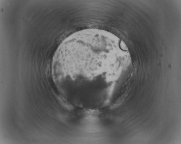 X0000087410527200705181400