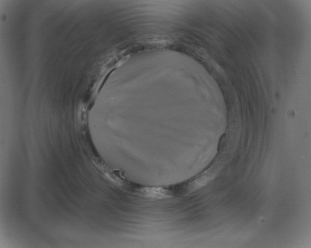 X0000087410528200705181400