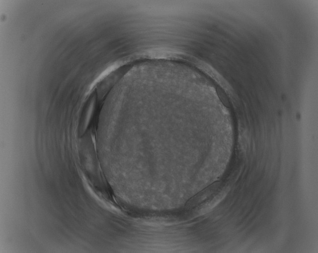 X0000087410530200705181400