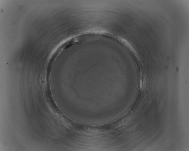 X0000087410531200705181400