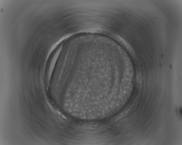 X0000087410532200705181400