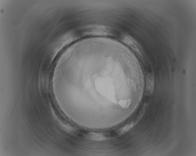 X0000087410534200705181400