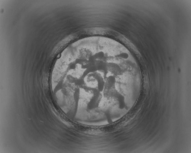 X0000087410537200705181400